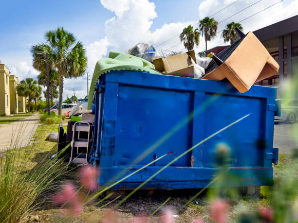 Best Carpet Removal and Disposal  in Centerville, MN